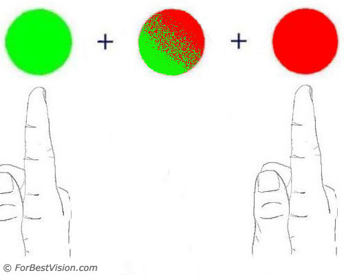cva_55 cva_55